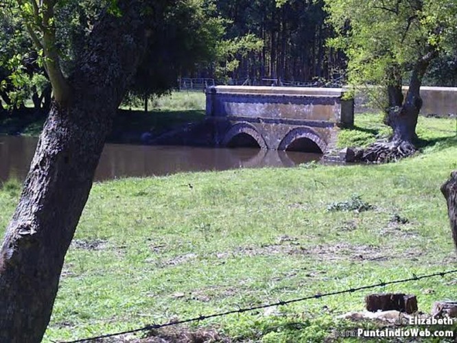Puente Viejo Punta Indio Web